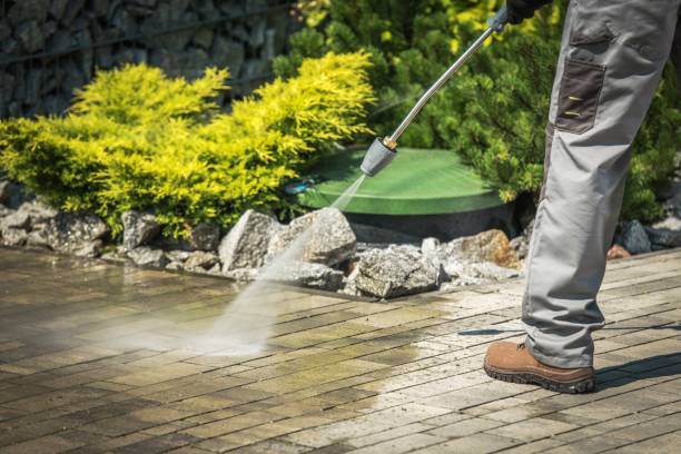 Best Soft Washing  in Moriches, NY