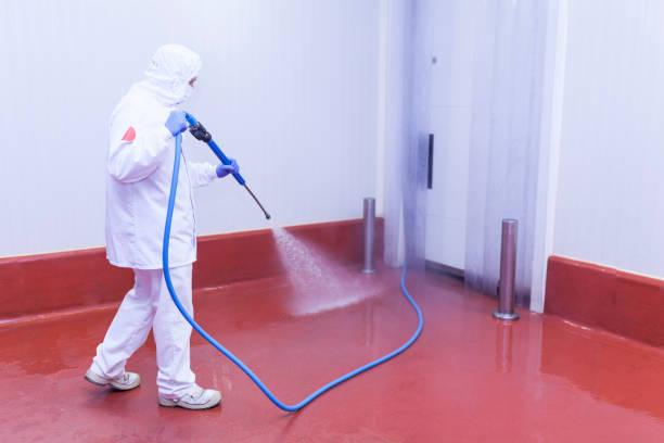 Pre-Holiday Cleaning in Moriches, NY
